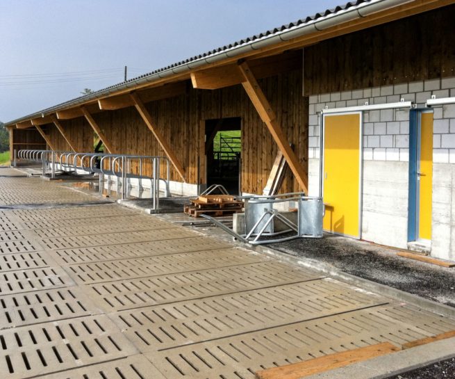 Neubau Laufstall Bubikon