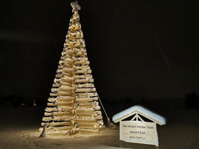 Weihnachtsbaum Schnee